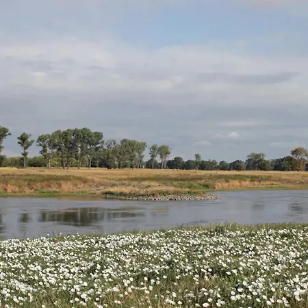 Ruhiges, Sehr Schoenes Haus/grundstueck In Elbnaehe. Arzberg (Saxony)