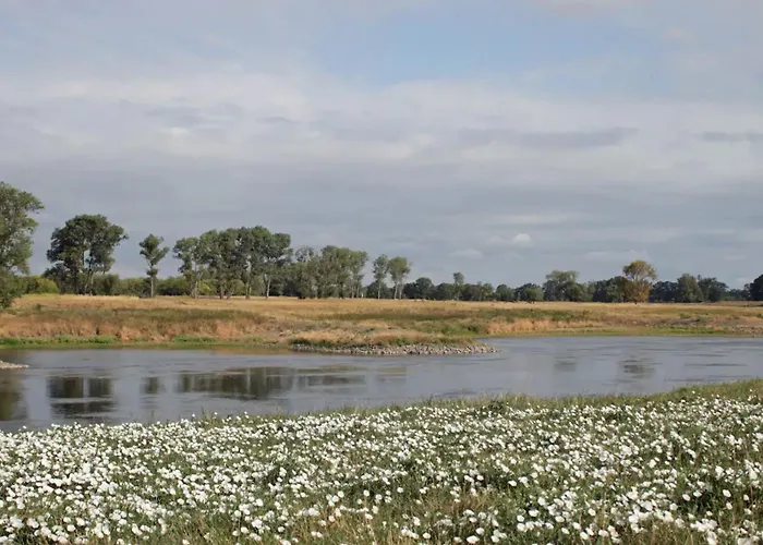 Ruhiges, Sehr Schoenes Haus/grundstueck In Elbnaehe. Арцберг